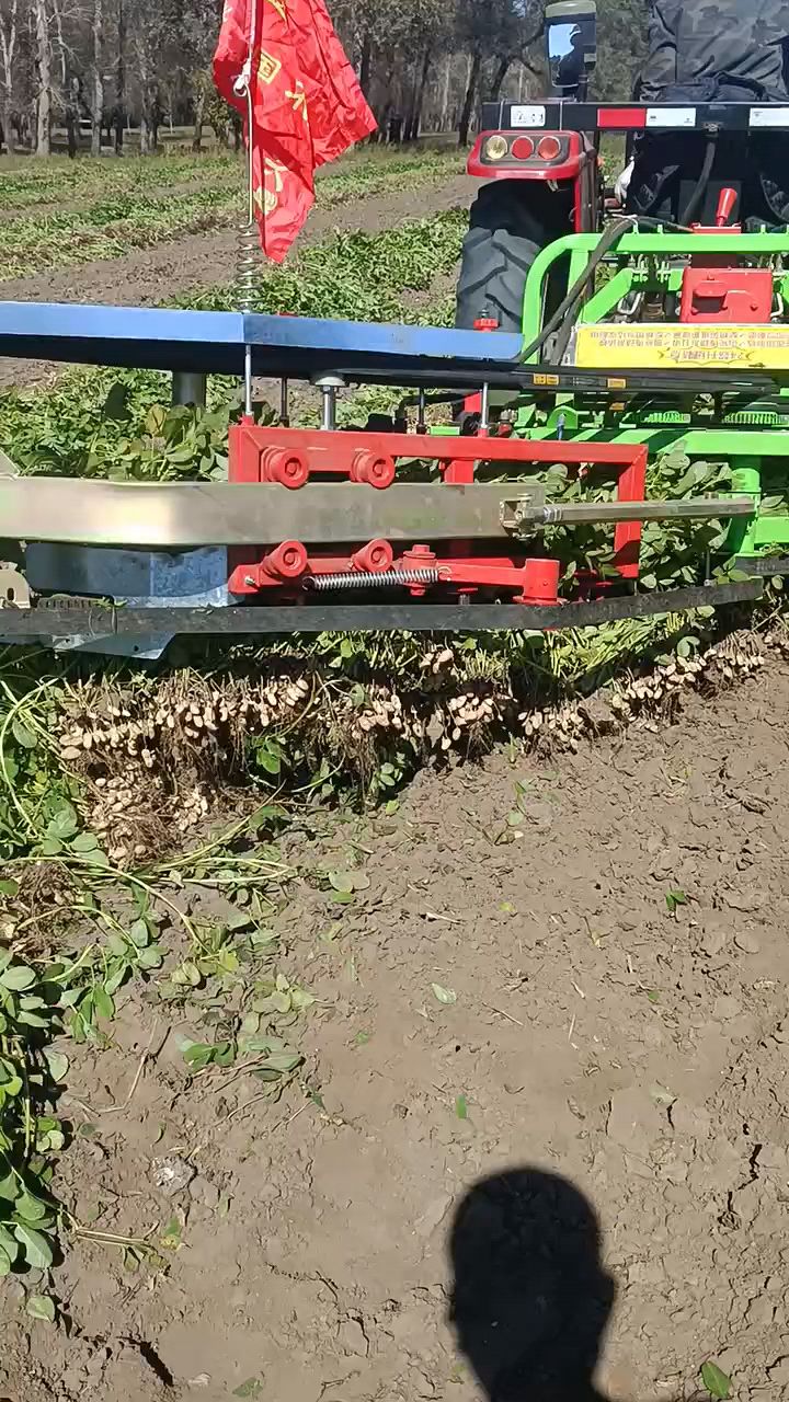 花生收获机,这机器干的漂亮!