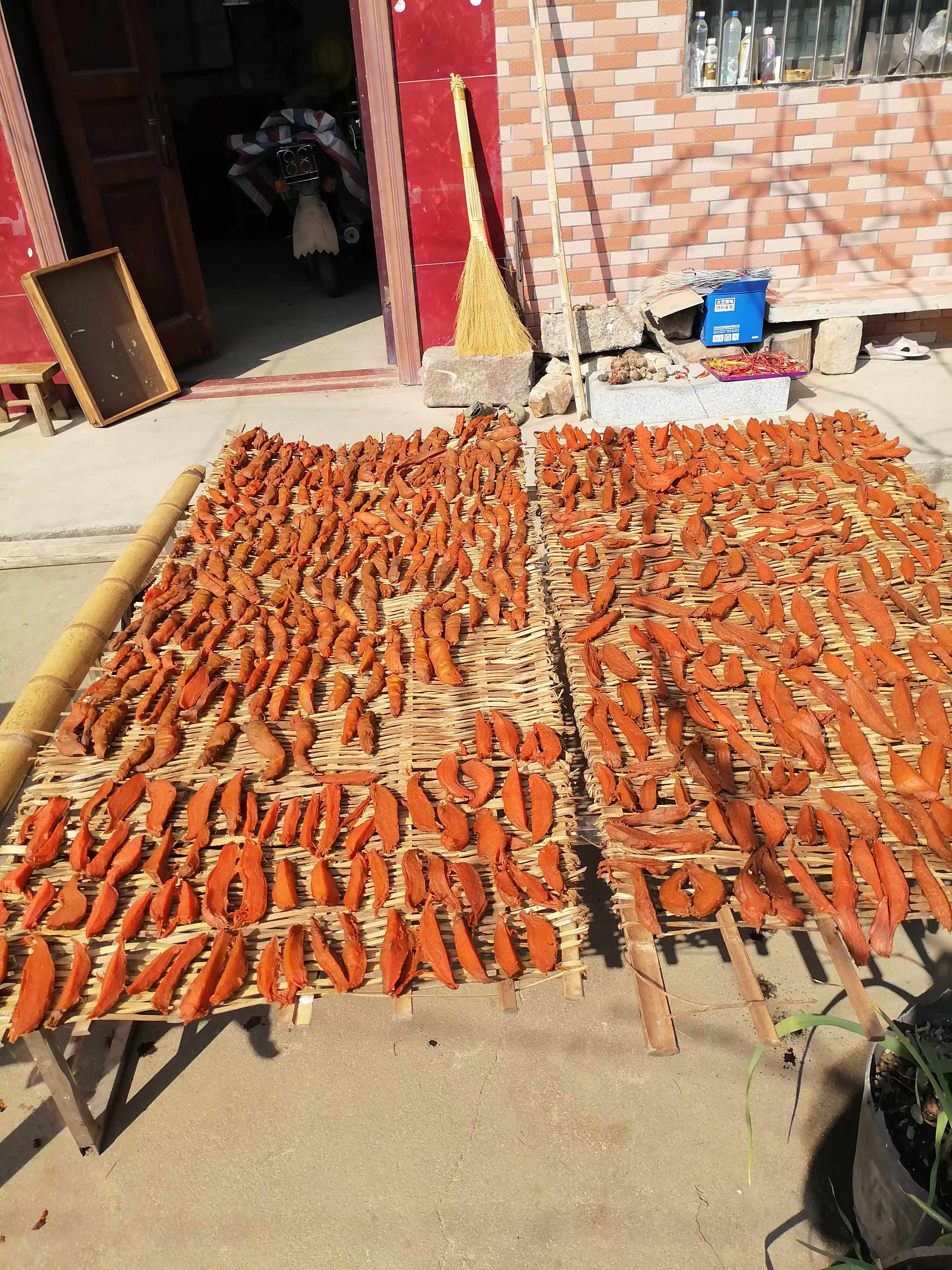 晾晒红薯干图片农村晒地瓜晒红薯干图片大全晒红薯干图片晒番薯干图片