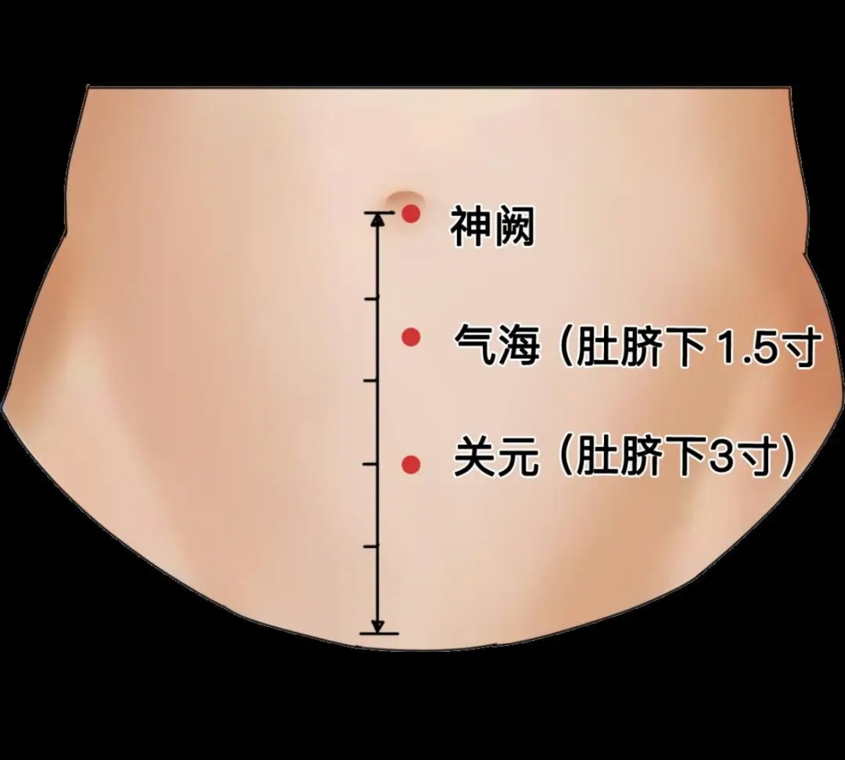 神阙穴,堪称人体的奇妙"机关",位置醒目,就在肚脐中央