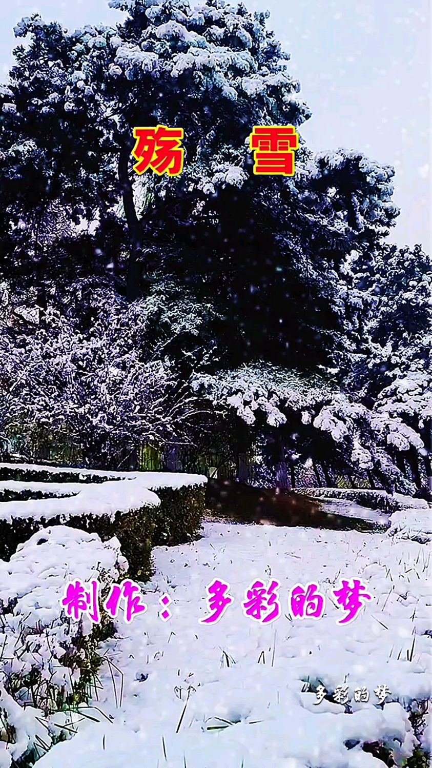 《殇雪》原创音乐视频
