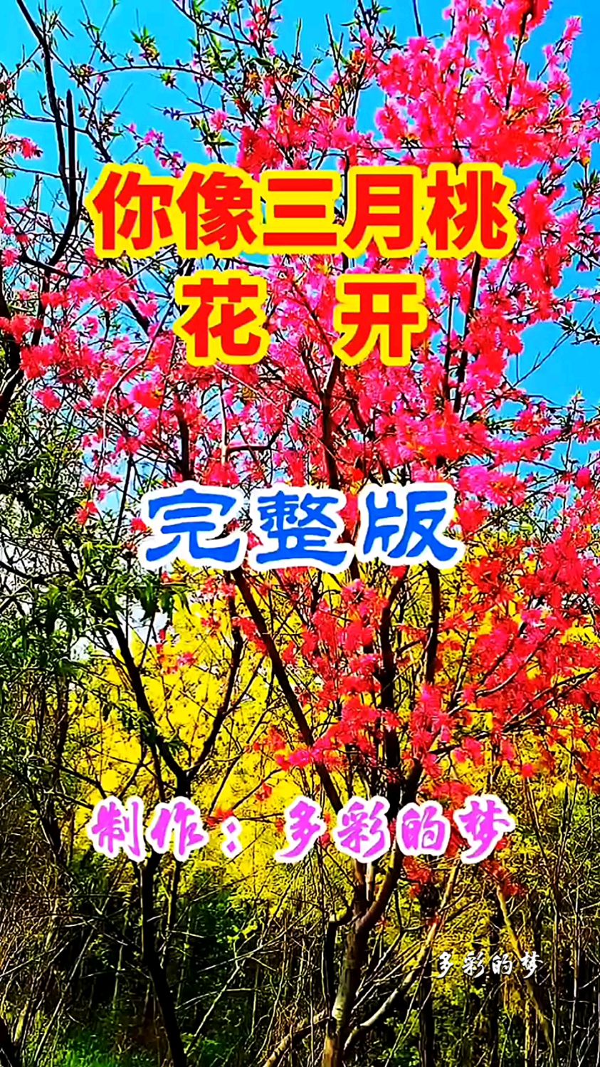 你像三月桃花开原唱图片