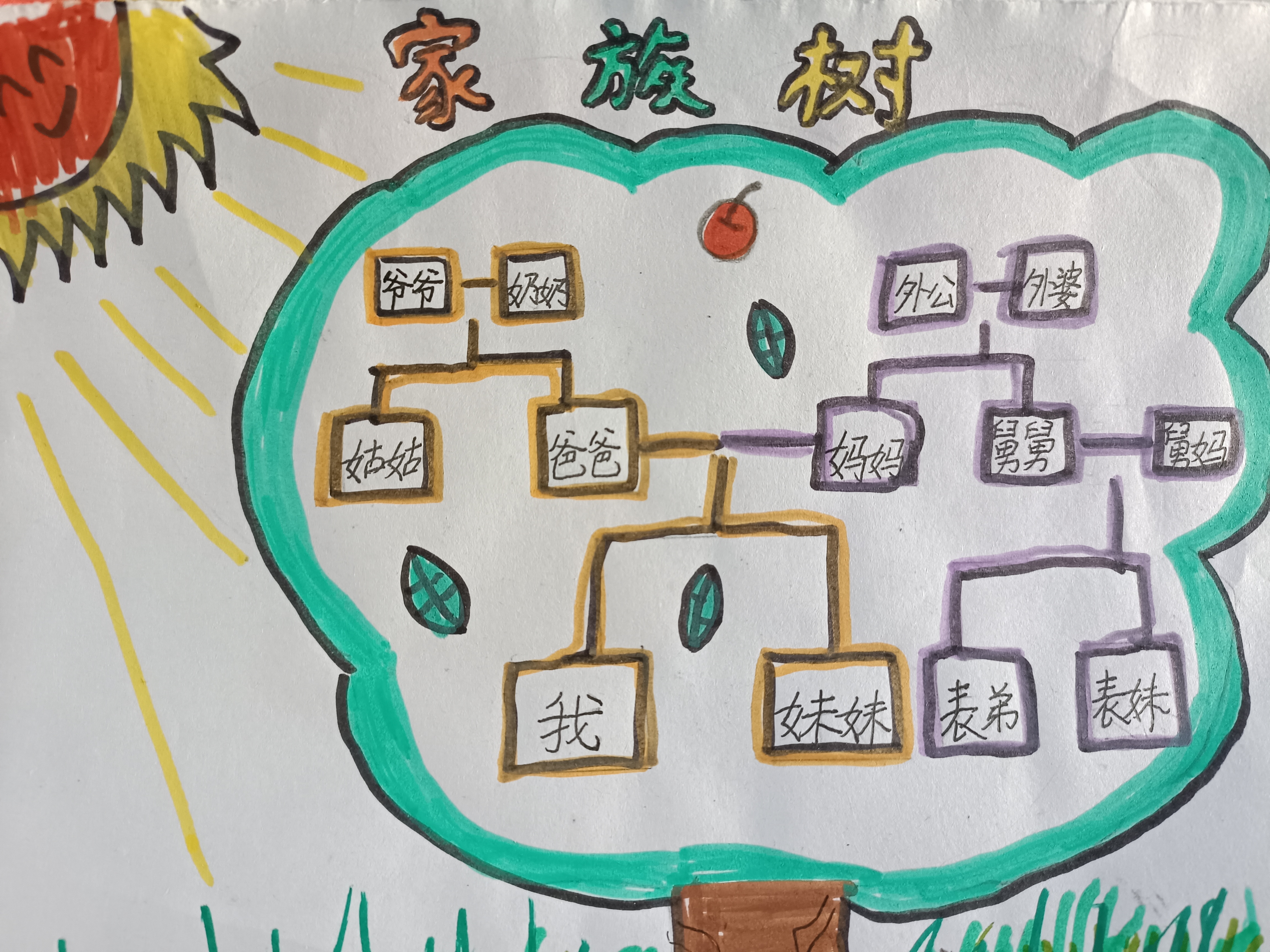 孩子们画的家族树