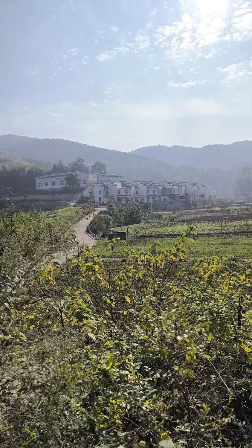 村里的风景平淡但耐看