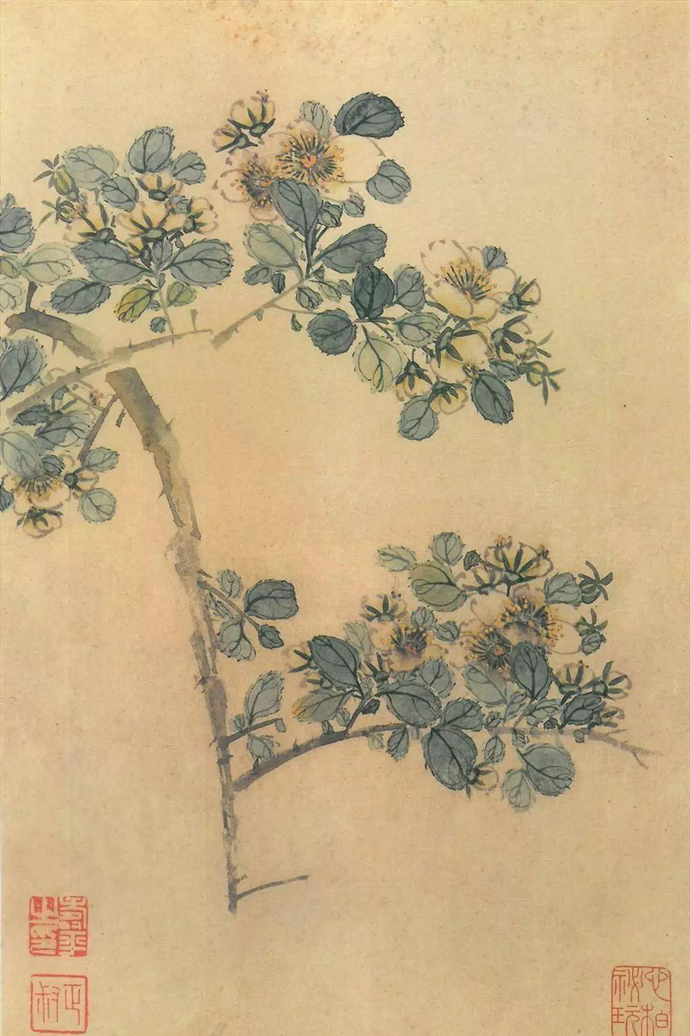 恽寿平没骨花卉