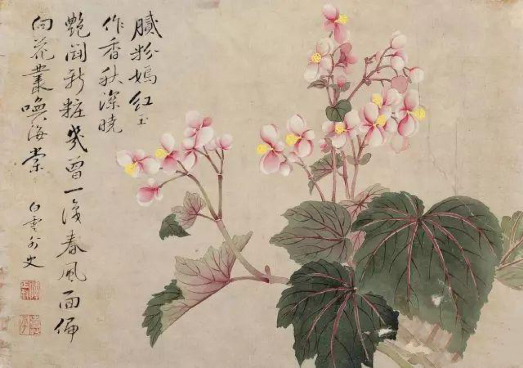 恽寿平没骨花卉