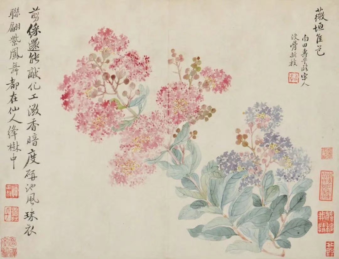 恽寿平没骨花卉