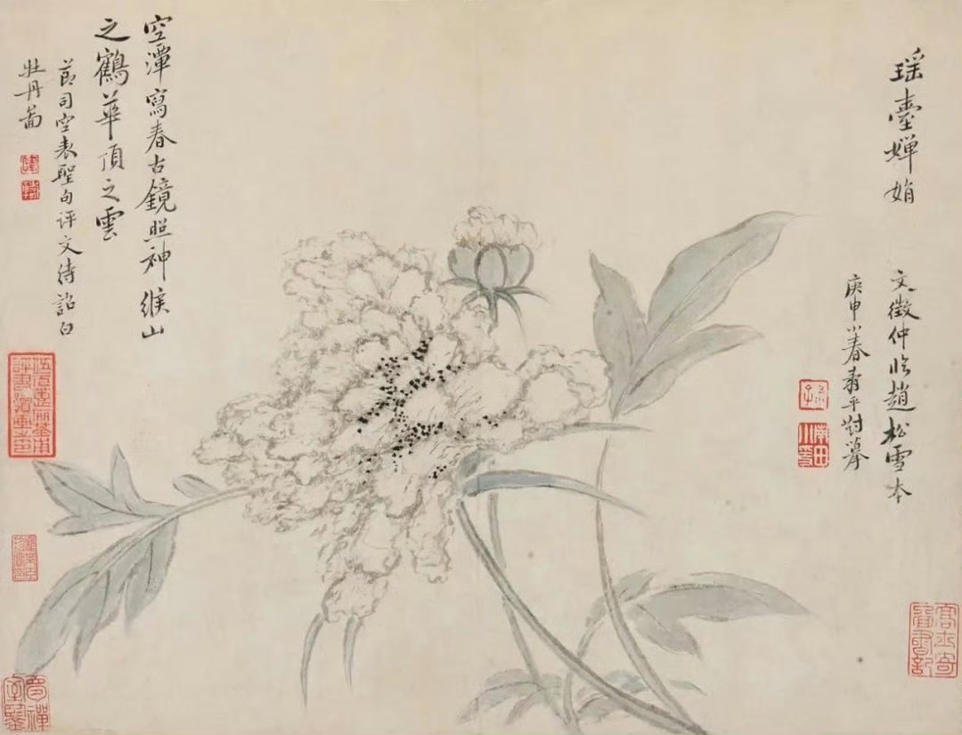 恽寿平没骨花卉