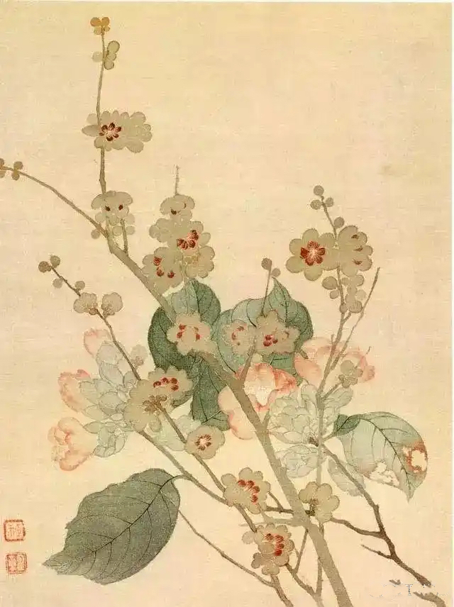 恽寿平没骨花卉