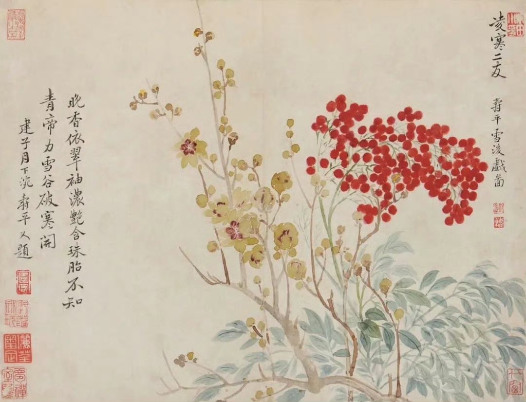 恽寿平没骨花卉