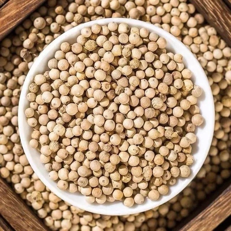 雌雄同株是指在同一株植物上同时具有雌蕊和雄蕊的现象