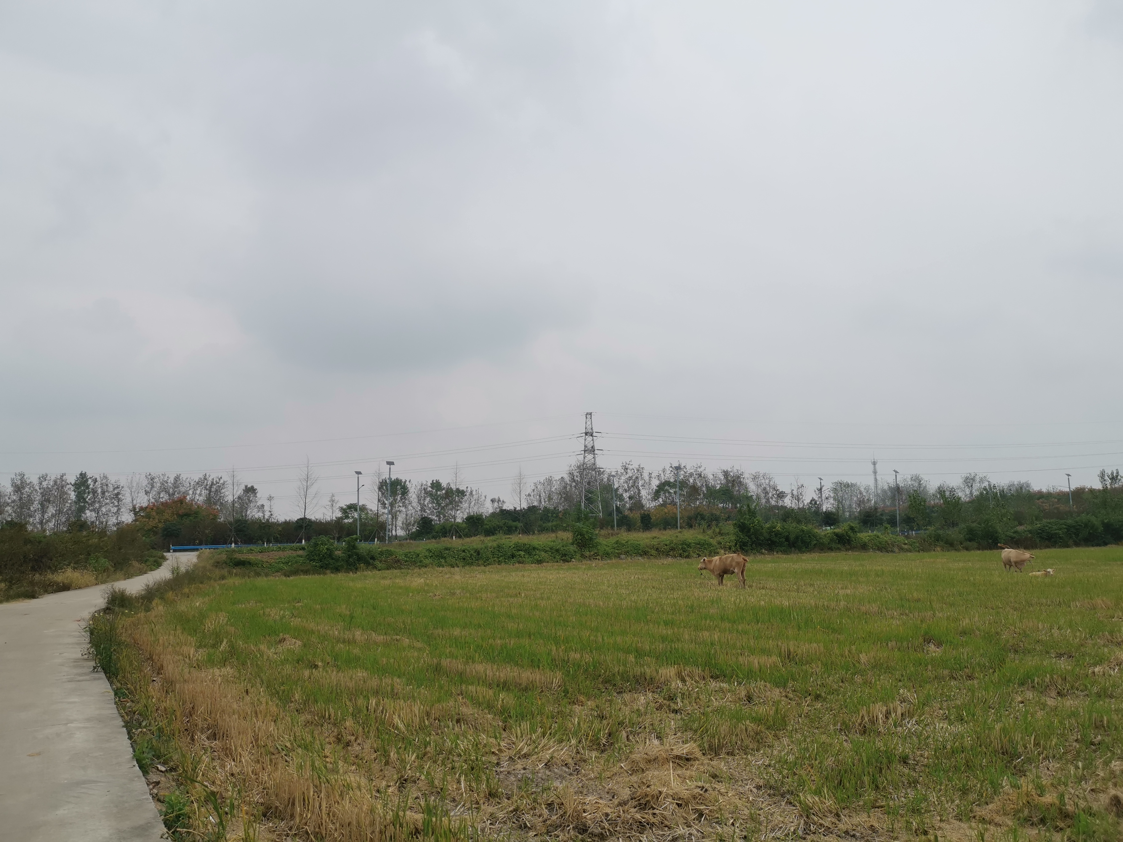 骑行信阳潢川—罗山—信阳,在312国道上驰骋,刚到市区就下起了大雨