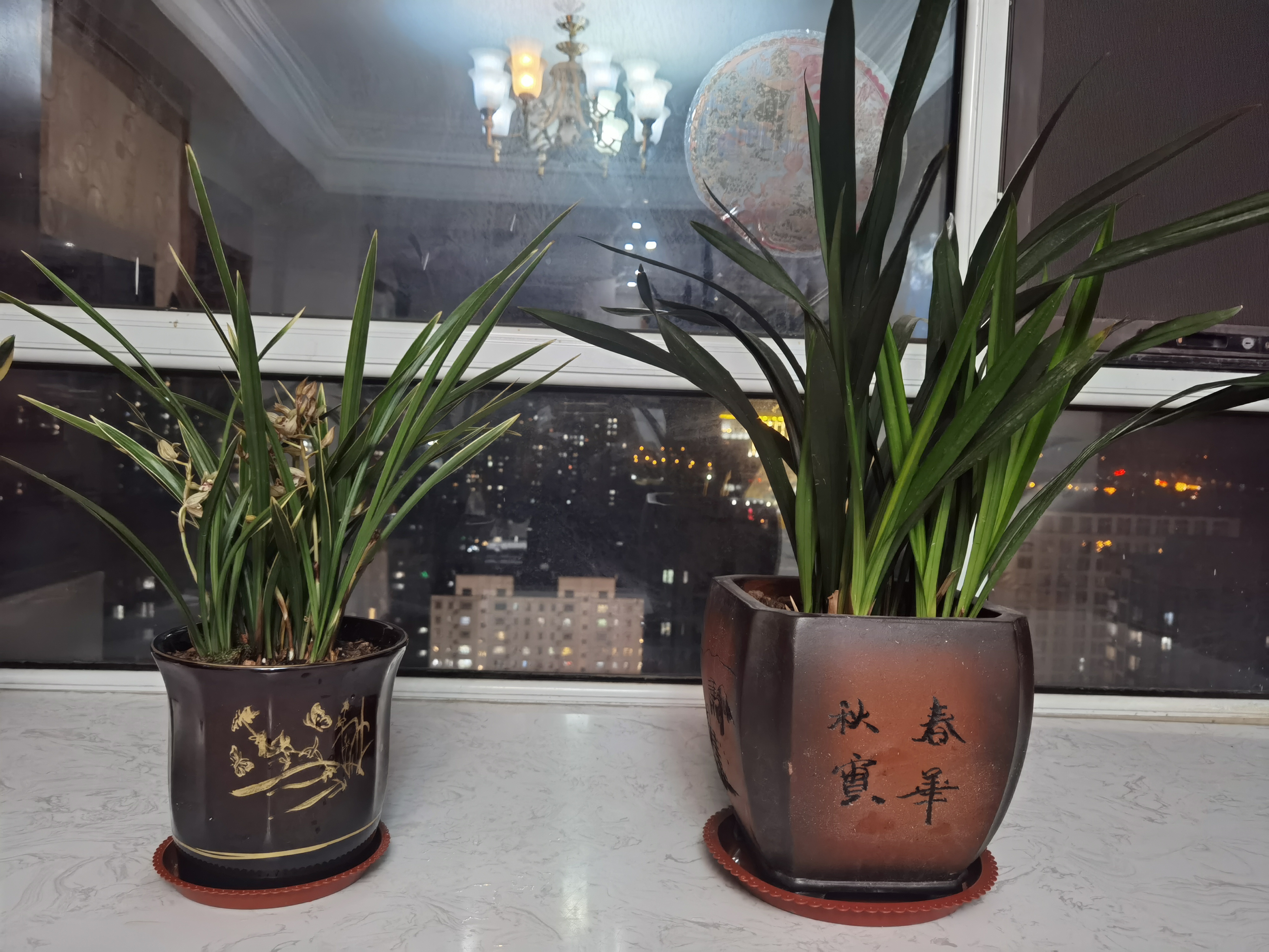 谦谦君子, 温润如玉, 幽幽如兰.