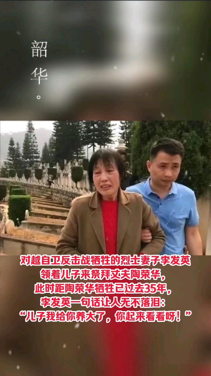 陶勇 夫人图片