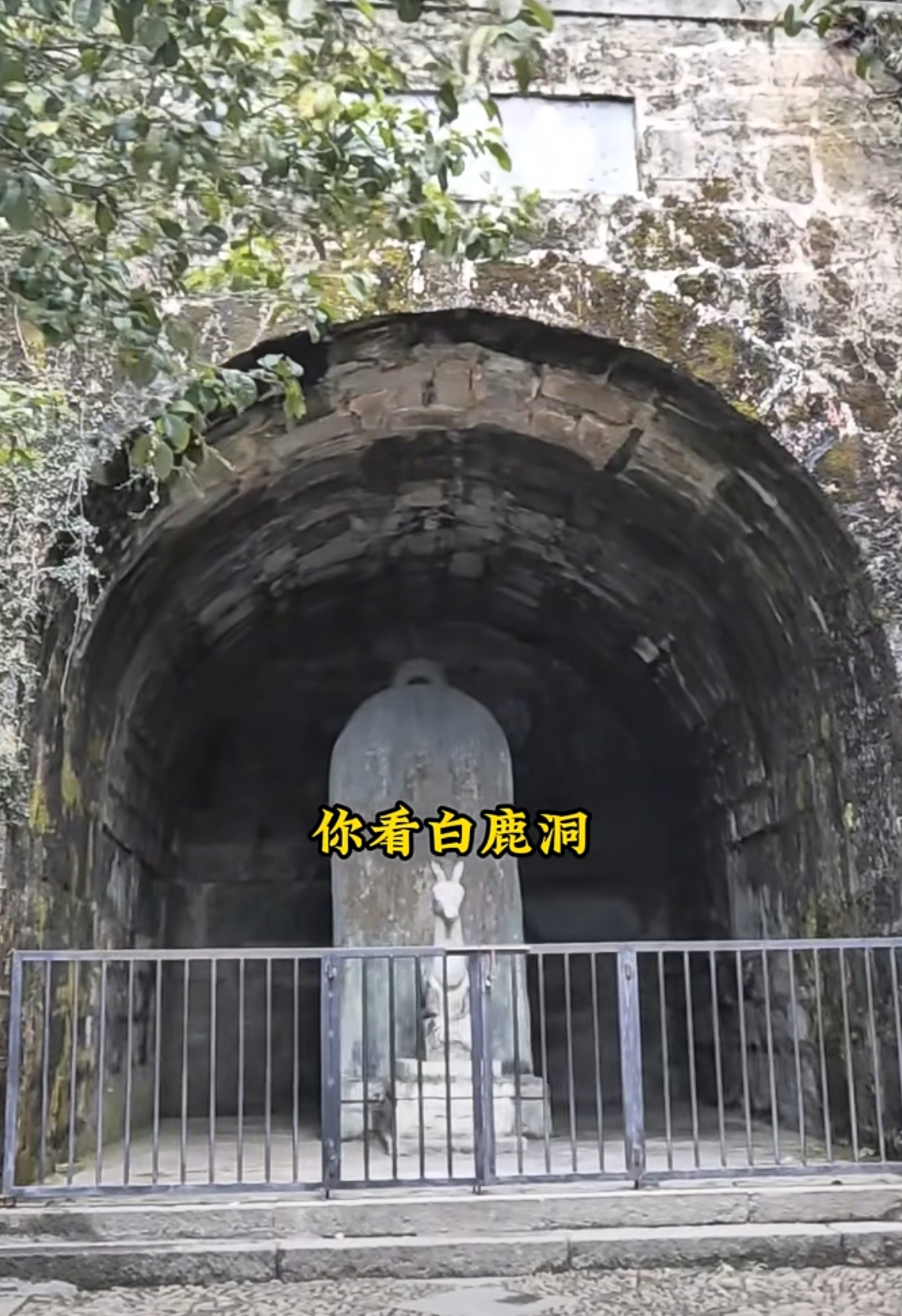 冬日时刻分享# 带你走进天下书院之首白鹿洞,祝各位学子:金榜题名