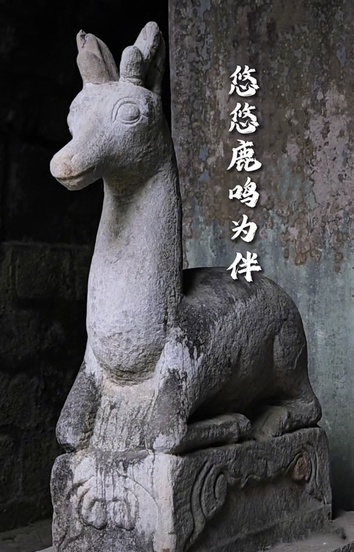 冬日时刻分享# 带你走进天下书院之首白鹿洞,祝各位学子:金榜题名