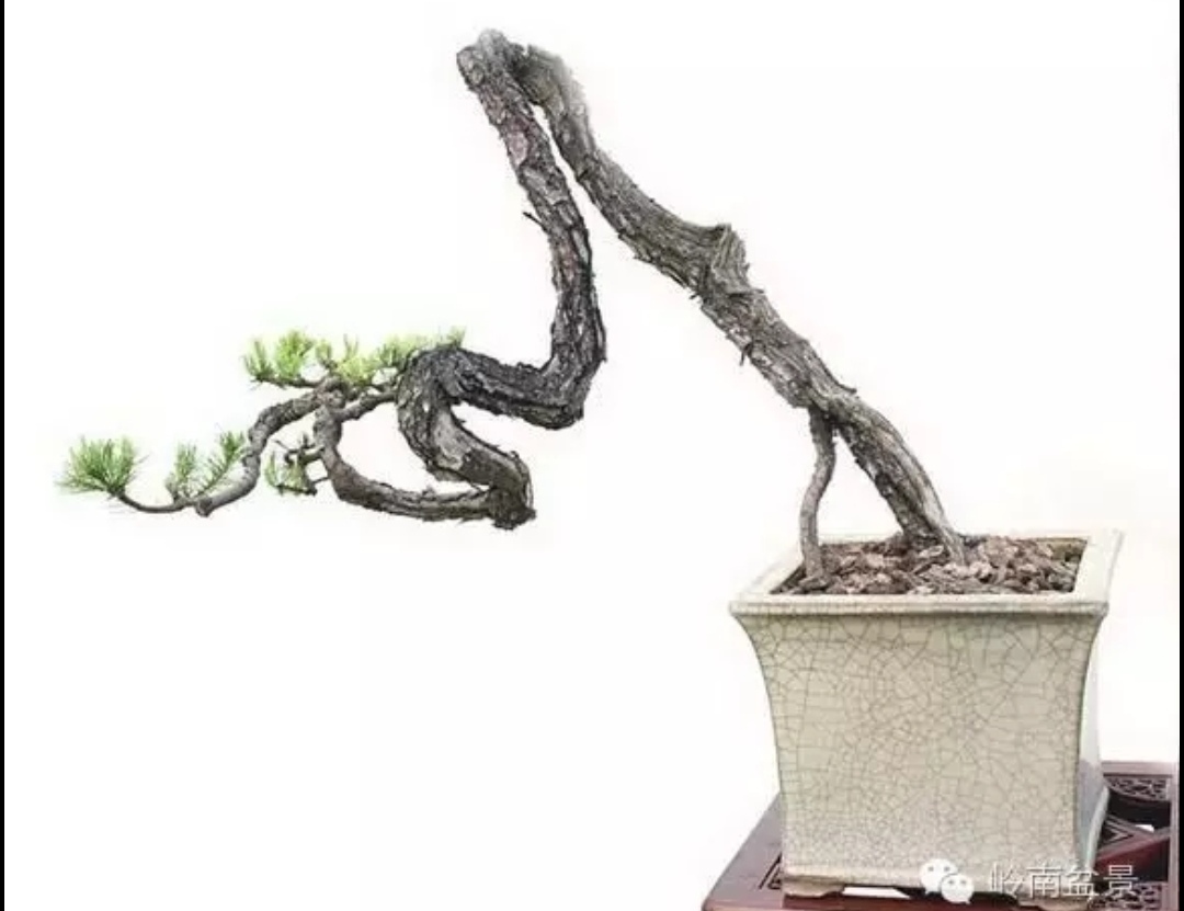 那些欺负你的人,赌的便是你会保持沉默