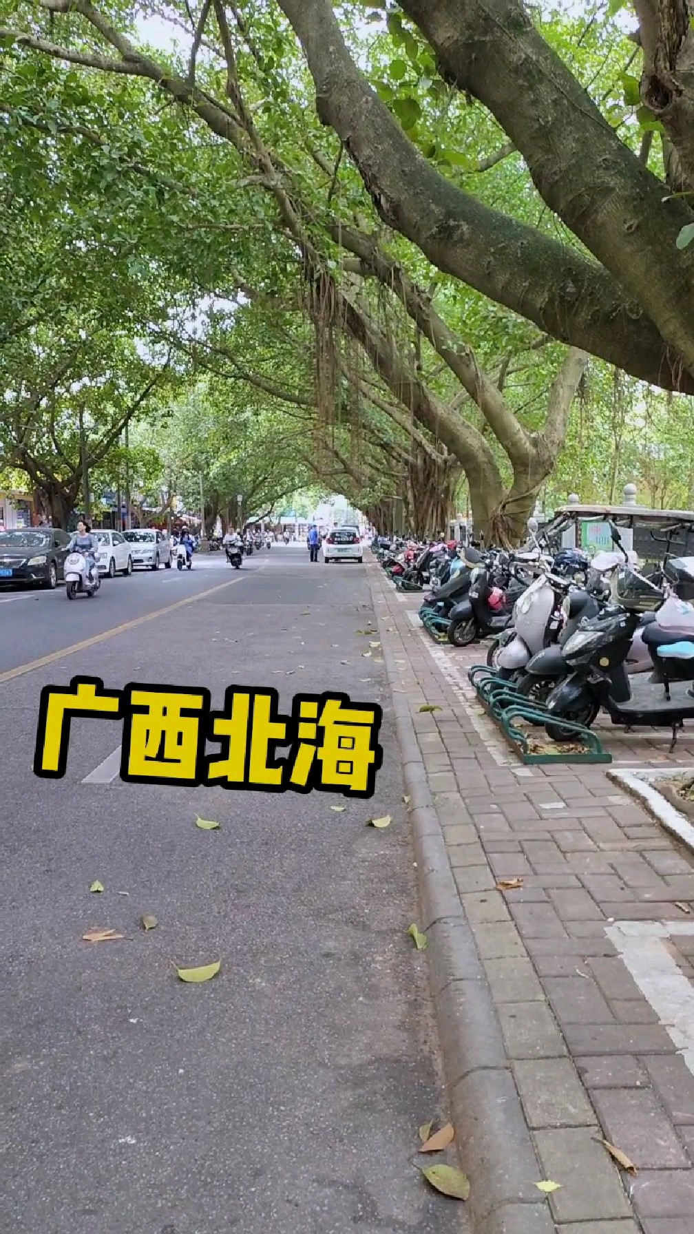 广西北海美丽的滨海城市,这条街专门批发的