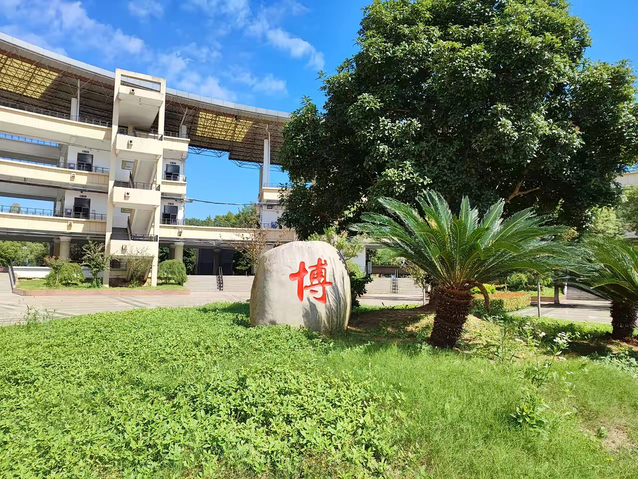 儿子上了研究生后,他的导师只是一个30多岁的年轻