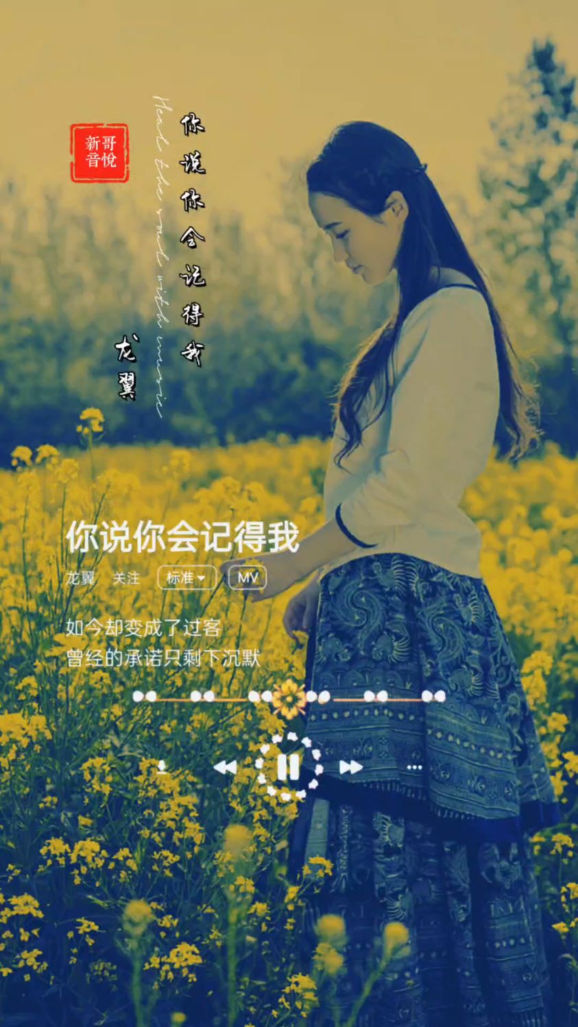 龙翼《你说你会记得我》如今却变成了过客,曾经的承诺只剩下沉默