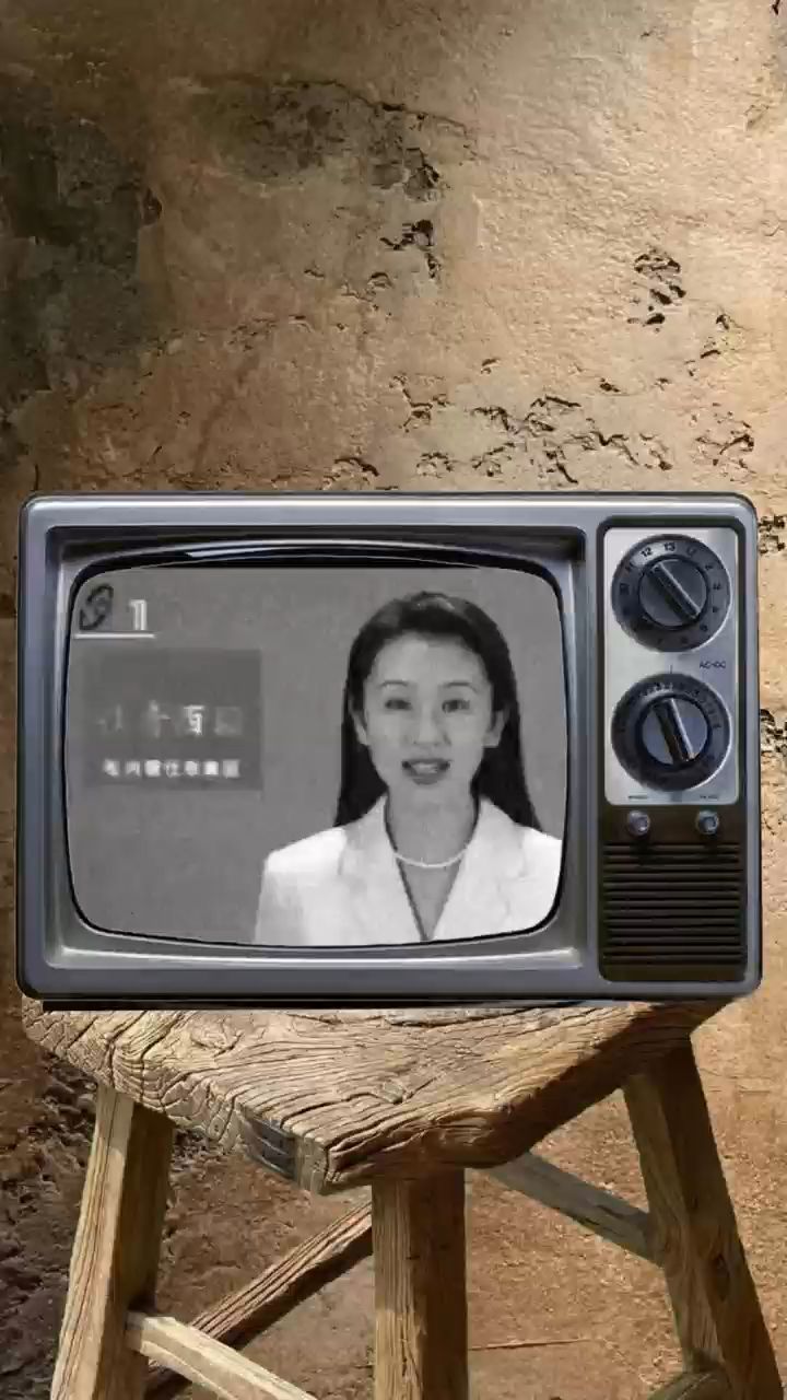 央视90年年轻女主持人图片