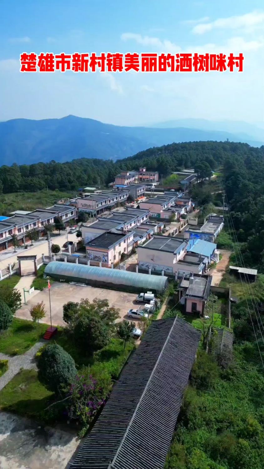 云南楚雄市新村镇美丽的洒树咪村