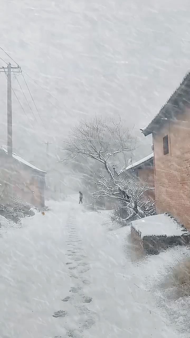 农村下雪的照片图片