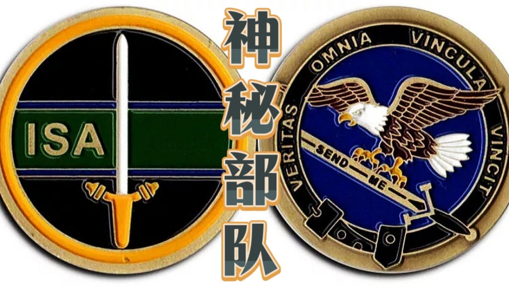 说起这个isa,那保密美国通信兵臂章美国各部队徽章越战美军臂章