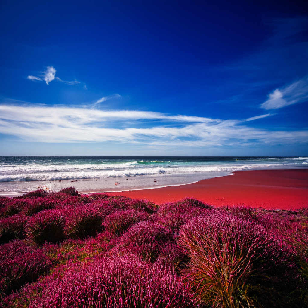 红色海滩
