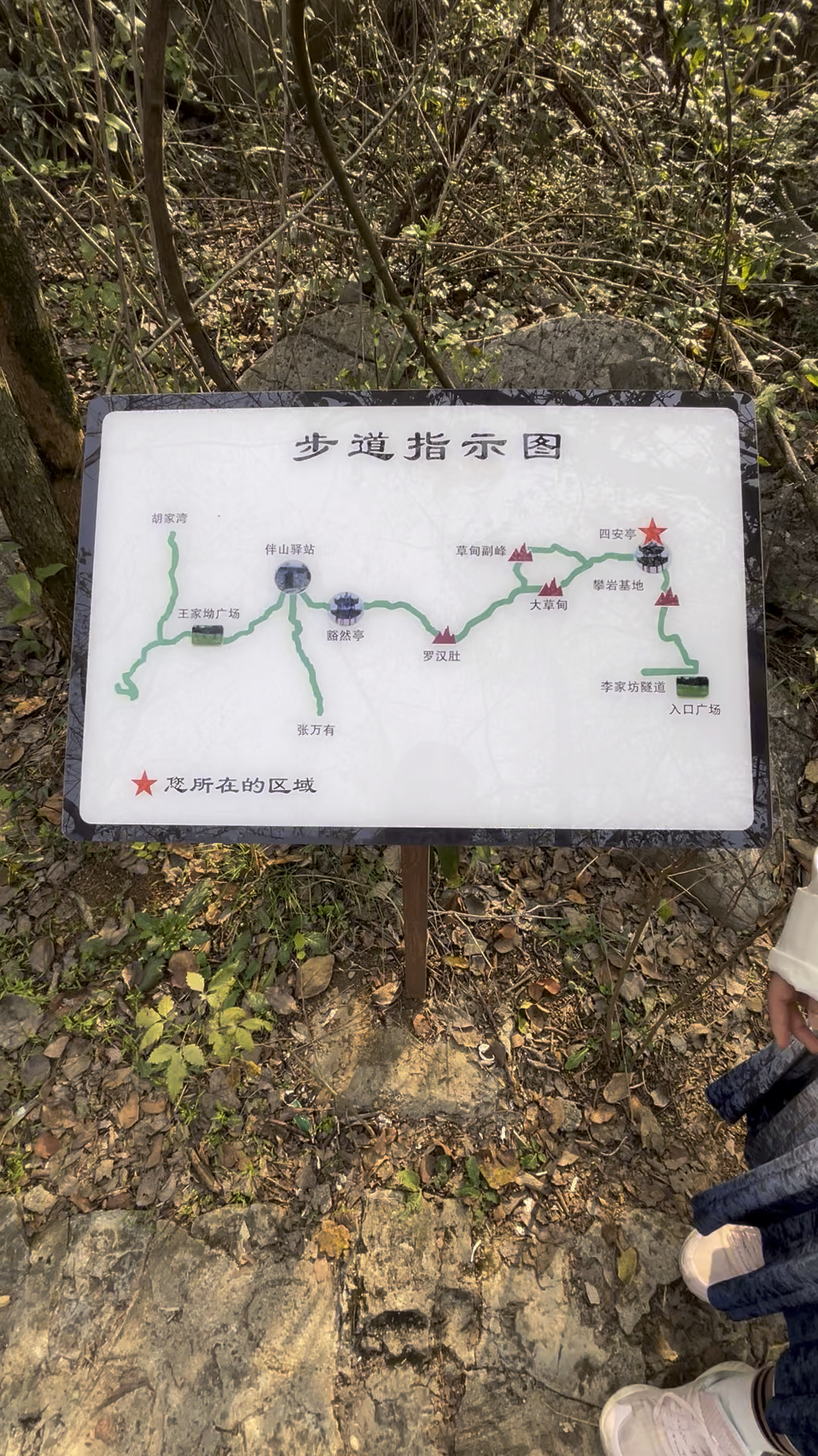 攀枝花登山步道路线图图片