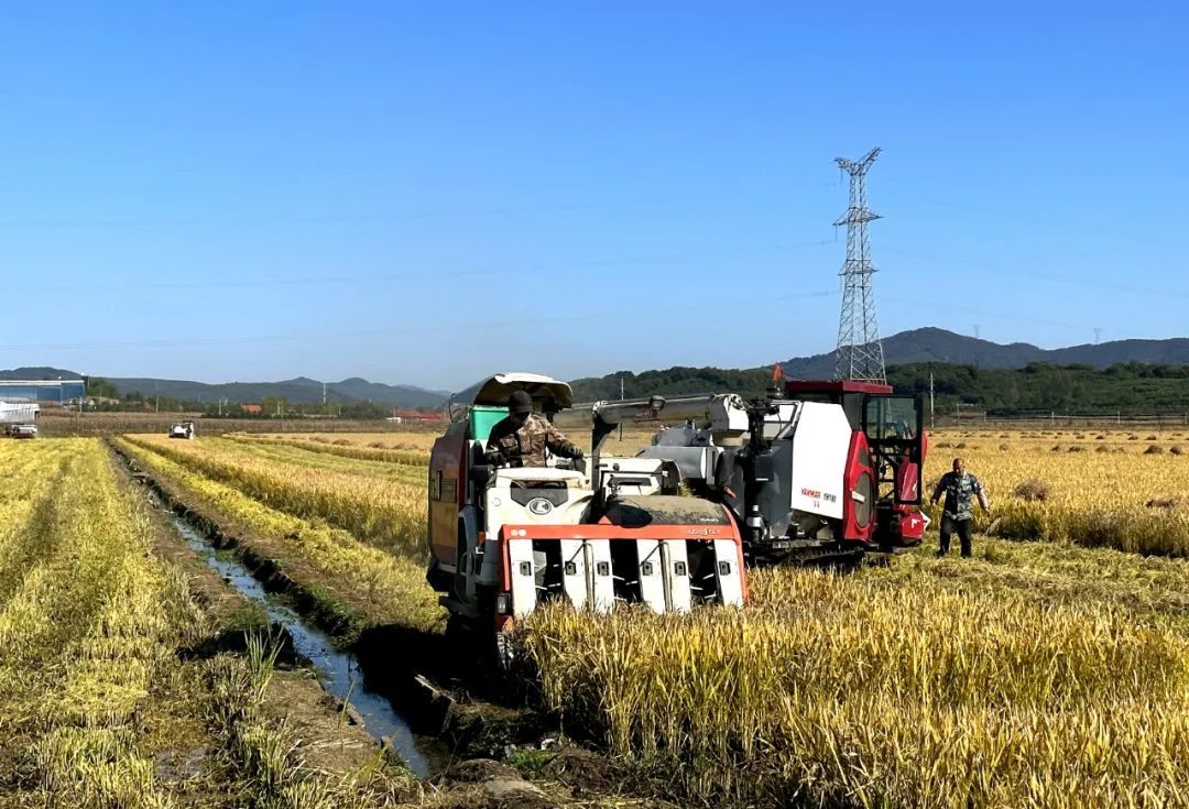 有一种美好叫辽宁# #新时代六地辽宁杠杠滴# #振兴新突破辽宁杠杠滴