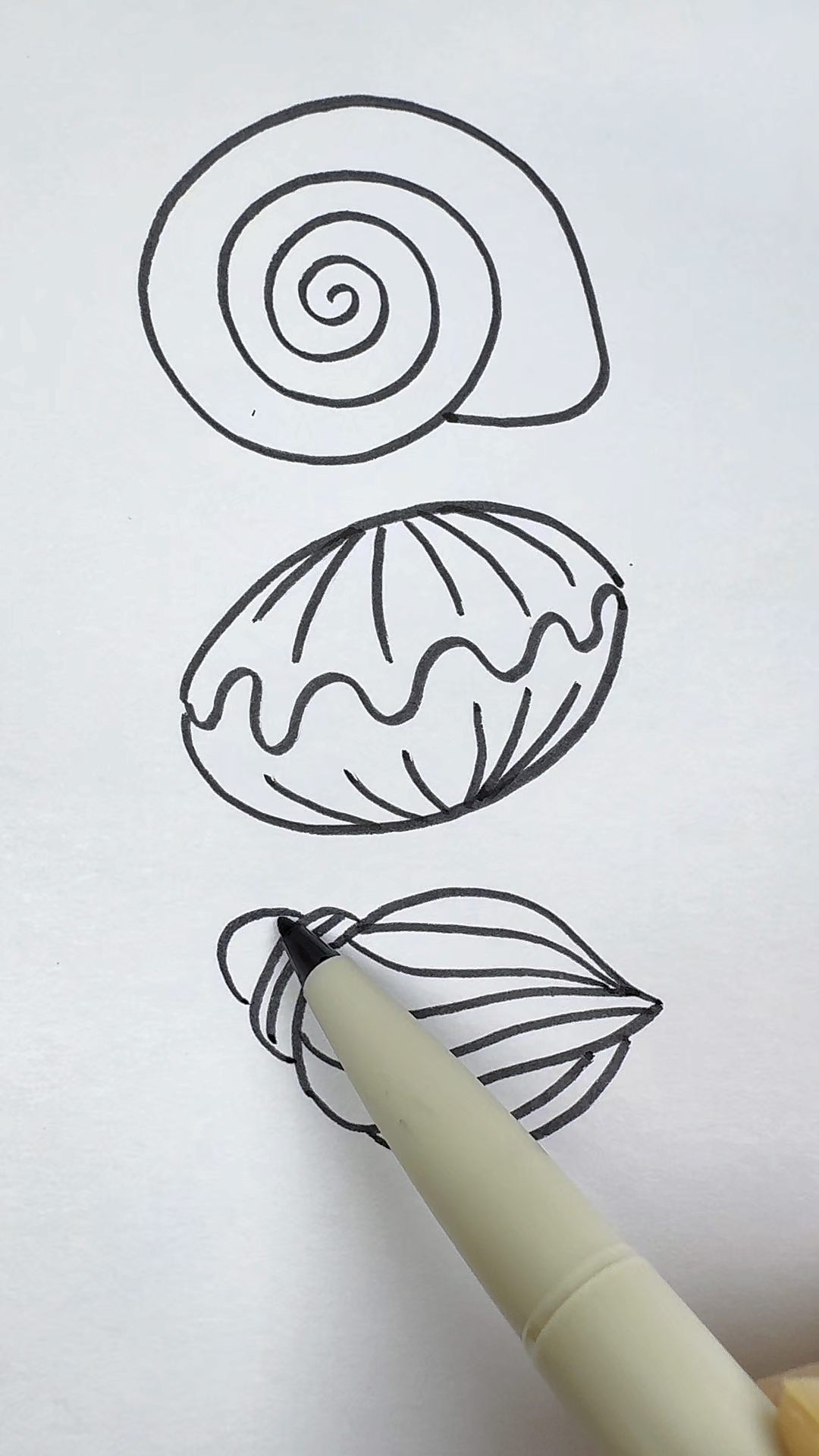 贝壳的三种画法,你喜欢哪一种?