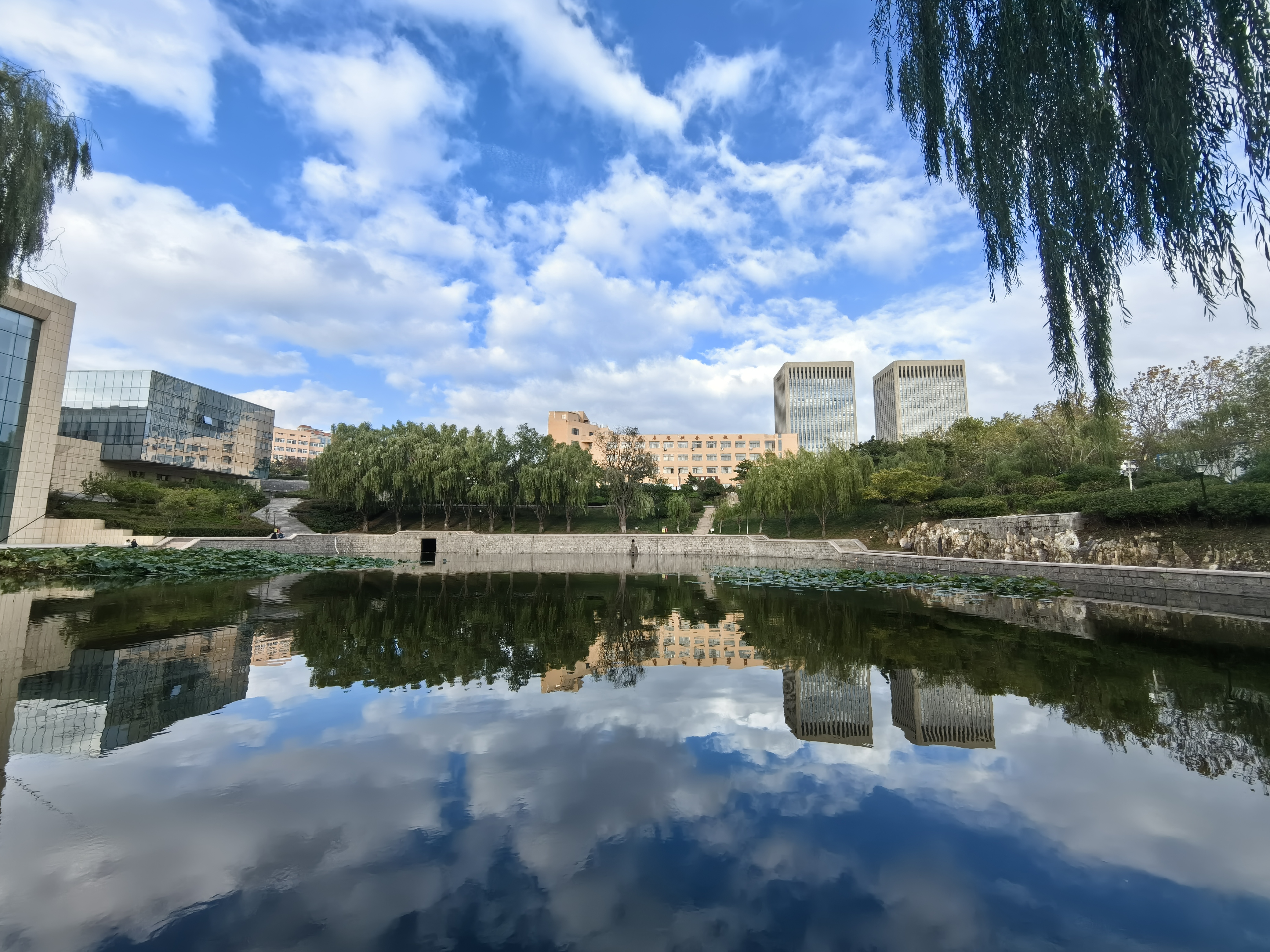 金秋不宅家# 秋高气爽,青岛周末的天气虽冷,但阳光是极好的