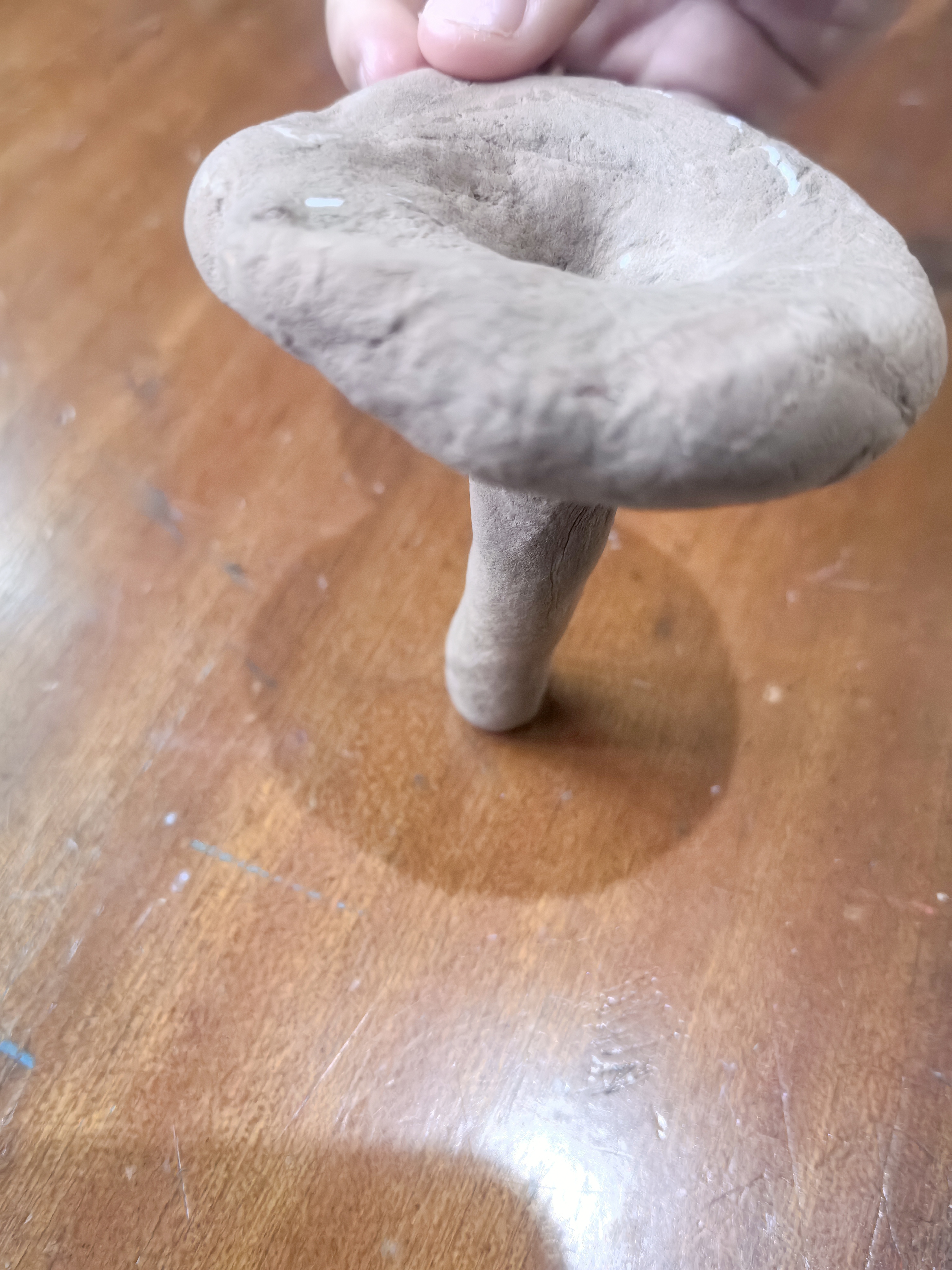 嘿,我是这只泥蘑菇,别看我灰扑扑的,我可是很有内涵呢!