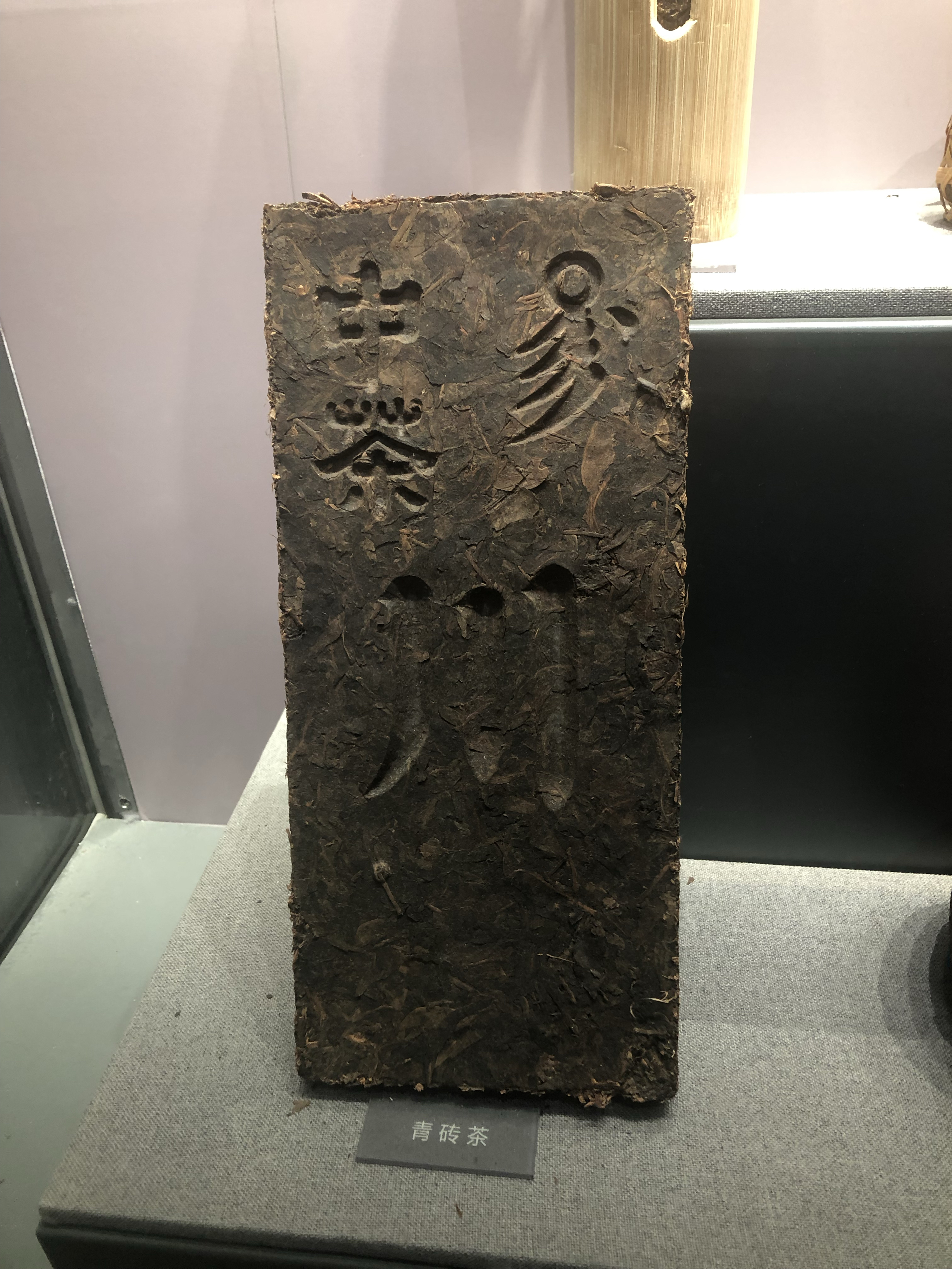 科普馆通过多种形式如活体植物植物标本植物科学画科普视频和科普