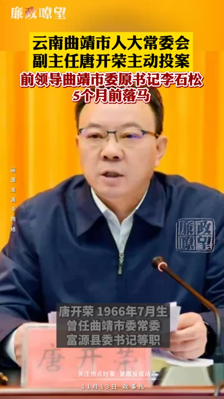 云南曲靖市人大常委会副主任唐开荣主动投案