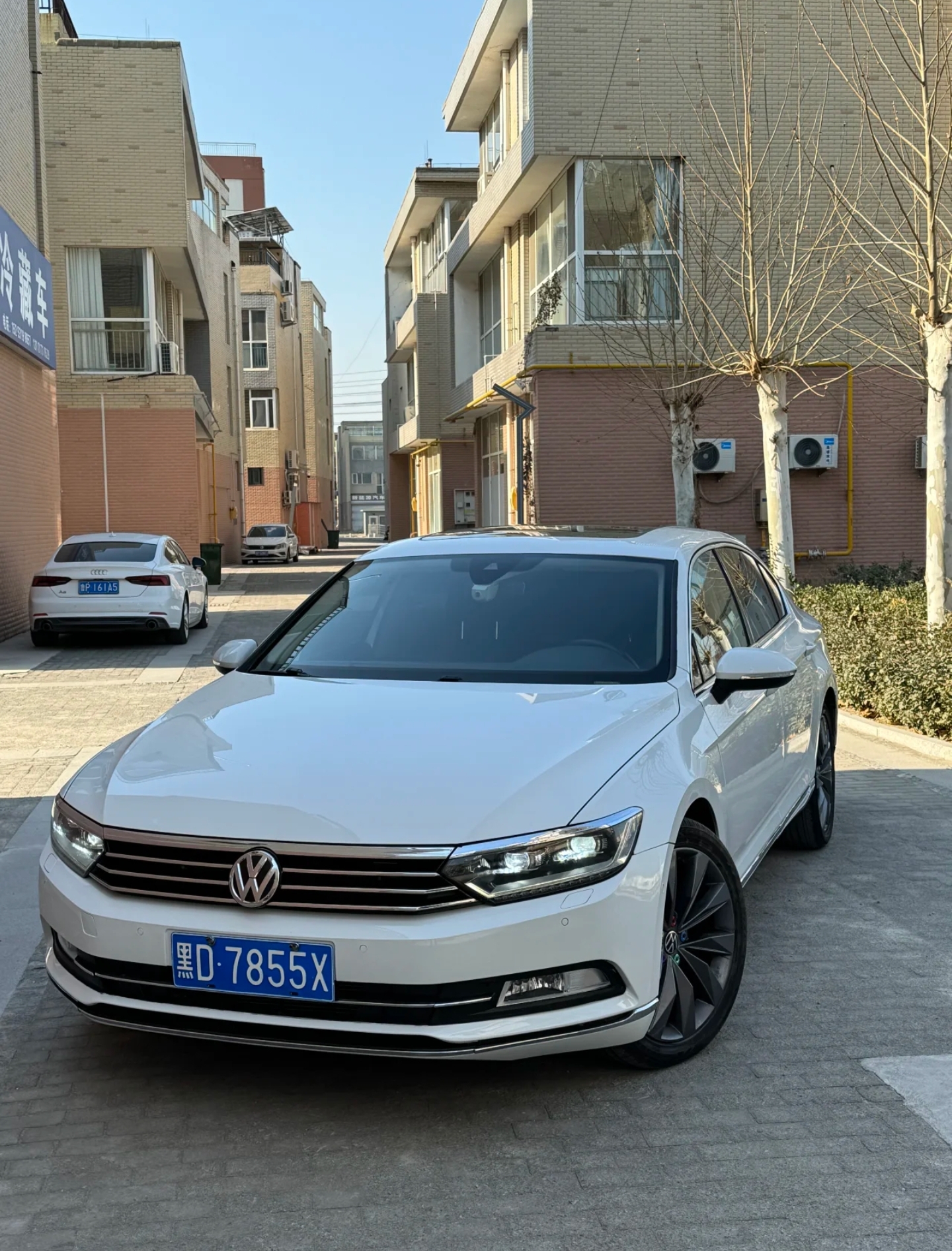 白色的迈腾,也很帅啊