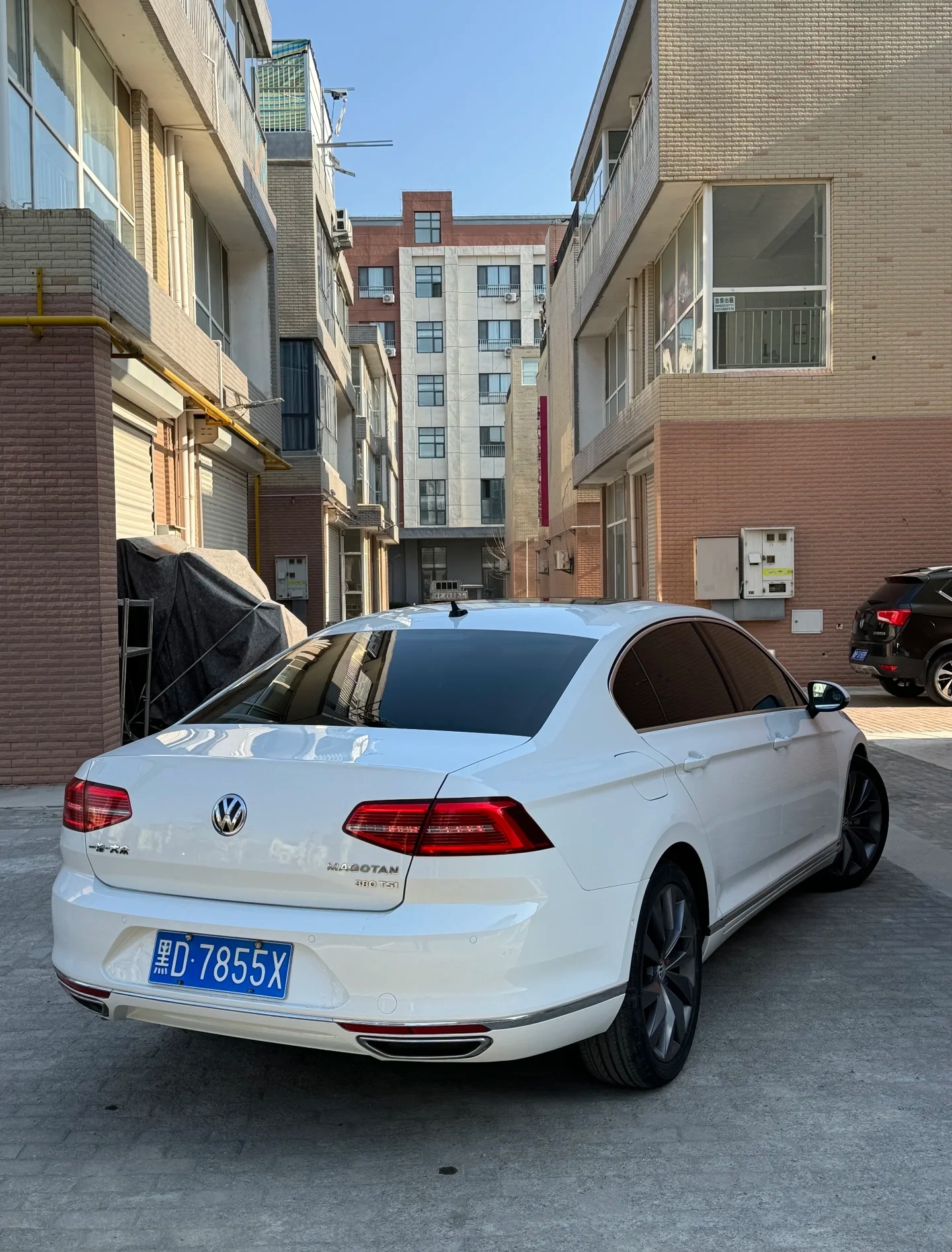 白色的迈腾,也很帅啊