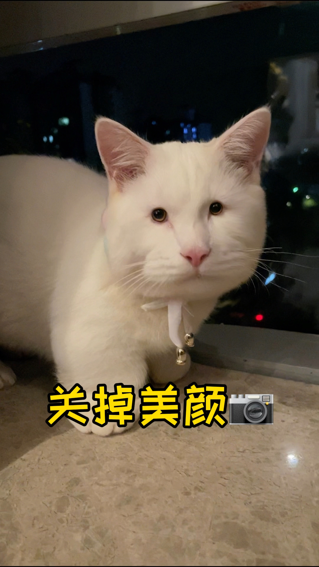 美颜前vs美颜后大对比