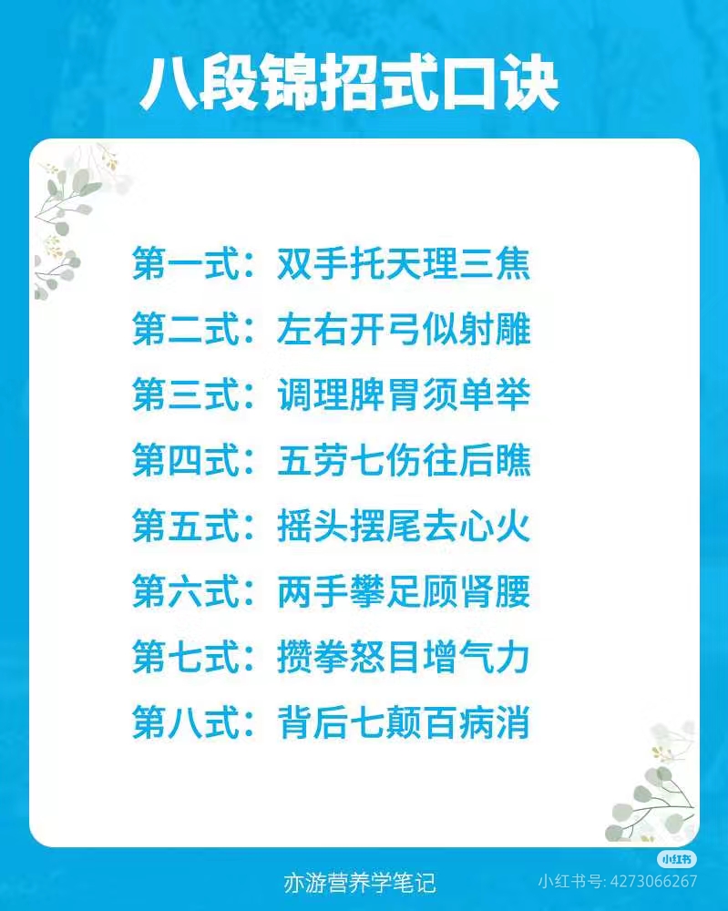 太极养生掌第二套口令教学视频(太极养生掌第二套口令教学视频完整版)