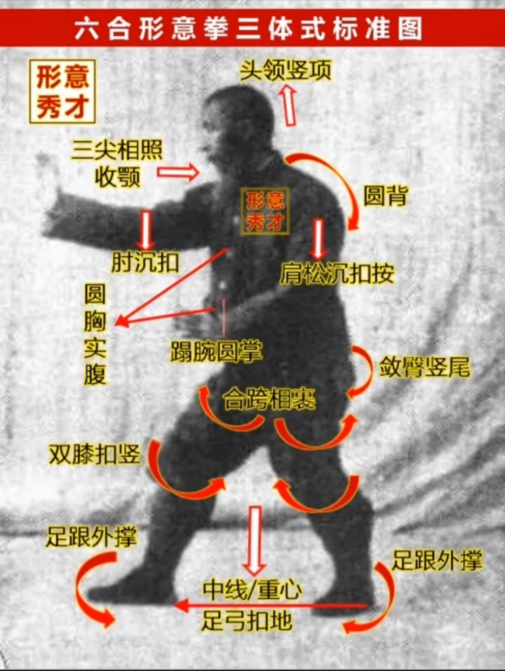 三体式桩:秘籍与禁忌大揭秘