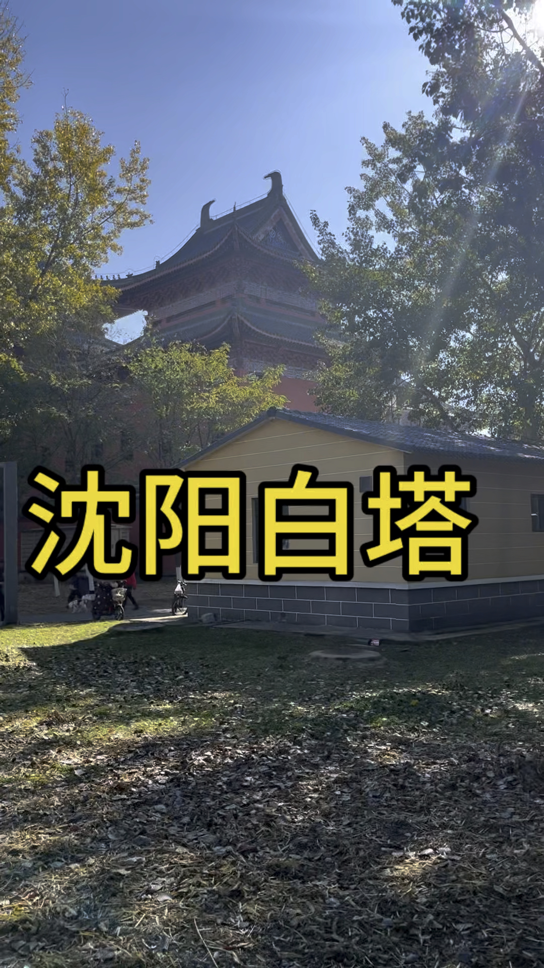 沈阳白塔公园门票图片