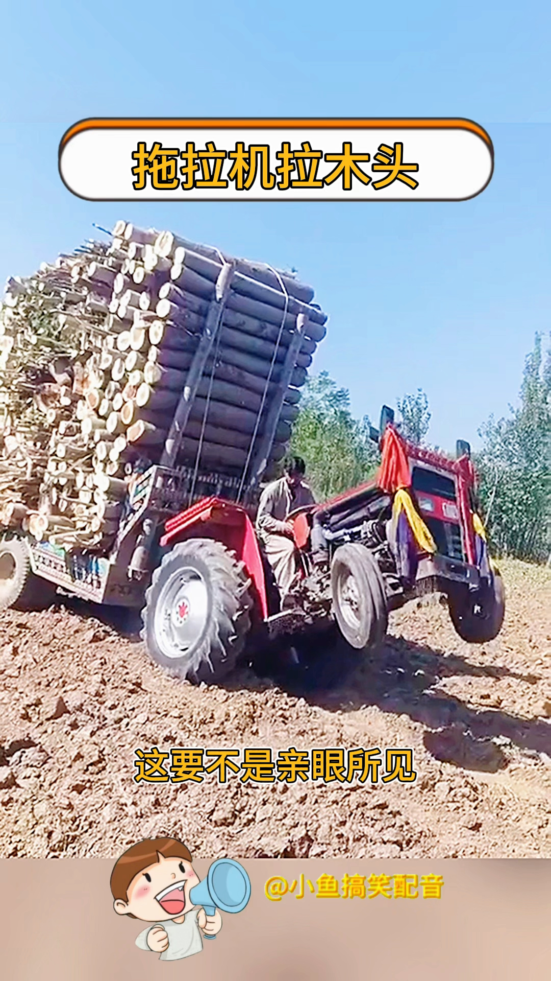 拖拉机拉木头,司机果然是艺高人胆大