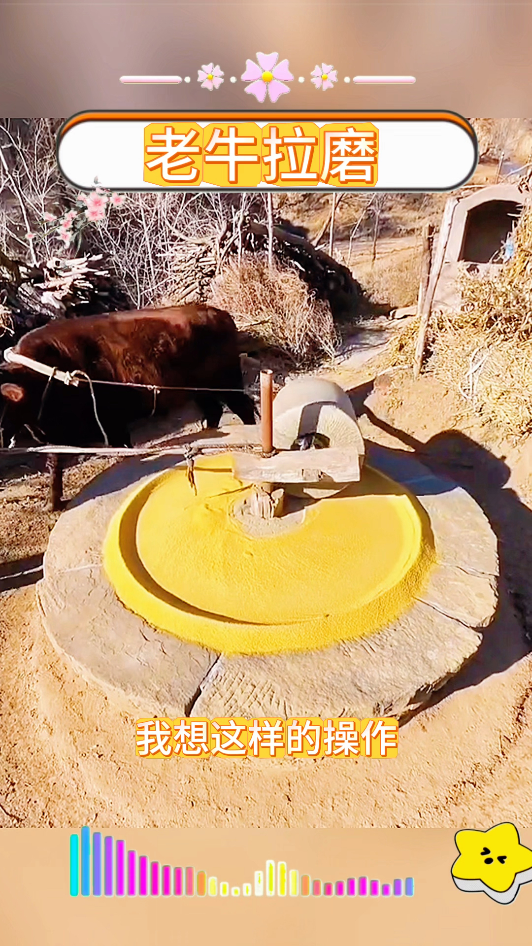 老牛拉磨,为什么要蒙上双眼呢?