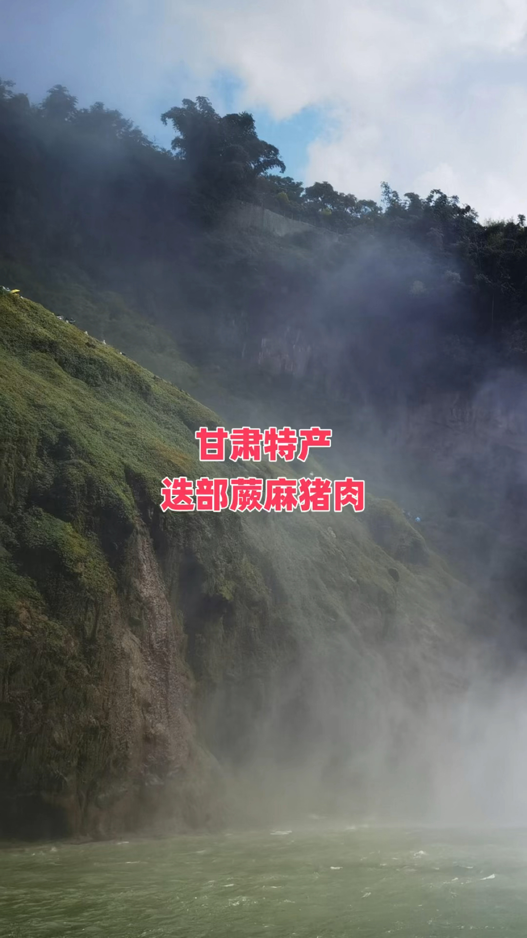 甘肃特产迭部蕨麻猪肉