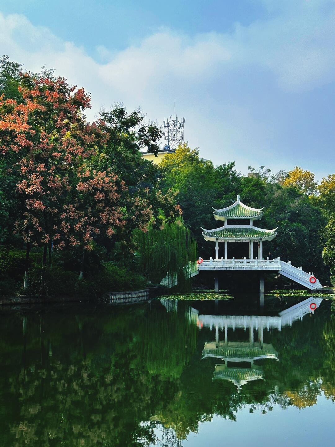 合肥旅游景点一日游图片