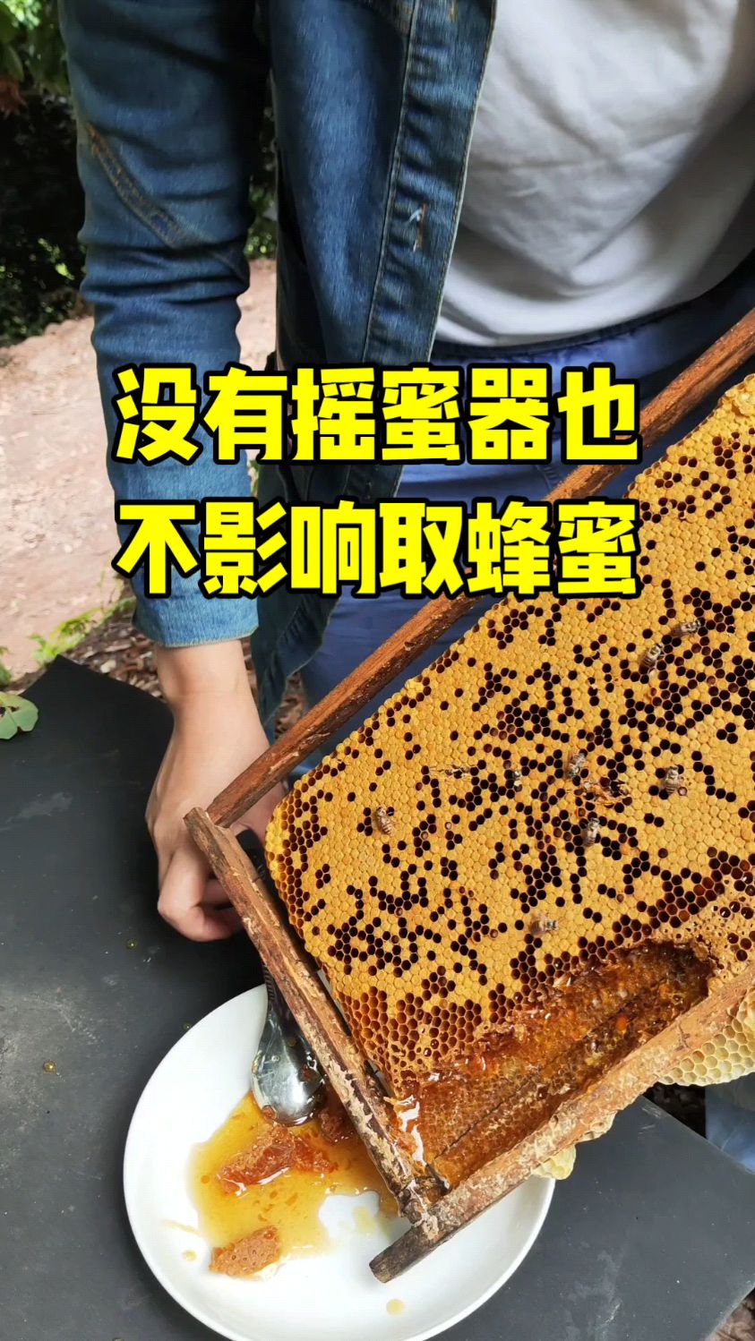 梦见蜂蜜和蜂是什么意思(梦见蜂蜜啥意思)