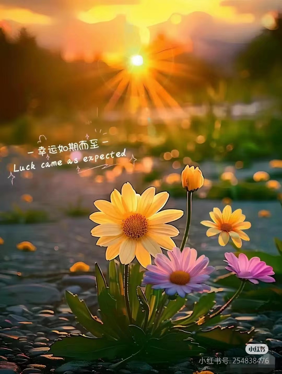 让日子过得安静平和,一抬头,看到的皆是温柔的景象,这样的生活充满了