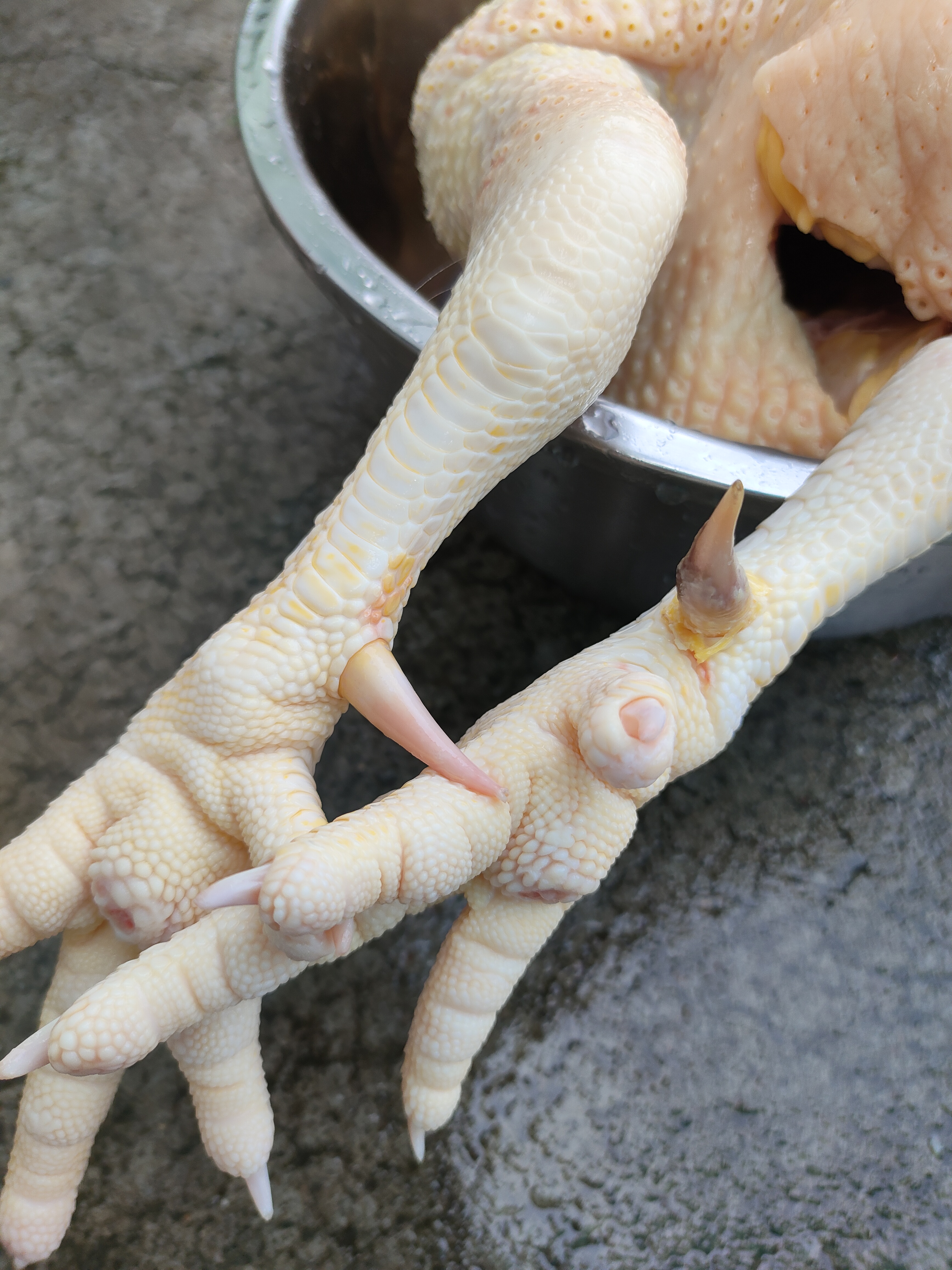 人家说,没有一只鸡能离开广东人的餐桌,你看,这只鸡有1080天了吗?