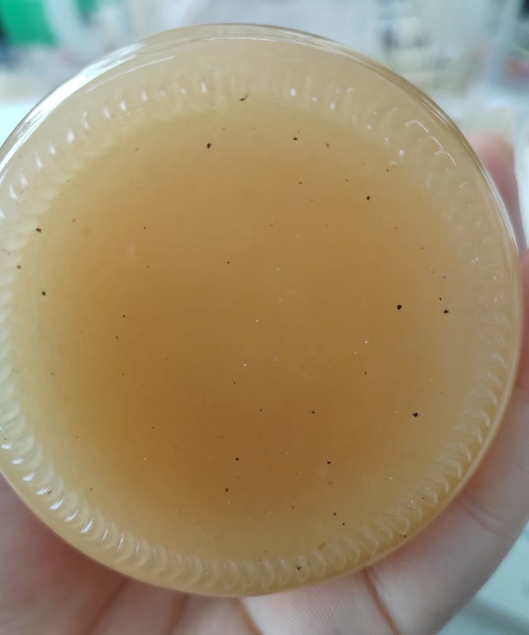 蜂蜜变质的7个表现(蜂蜜放冰箱好还是常温好)