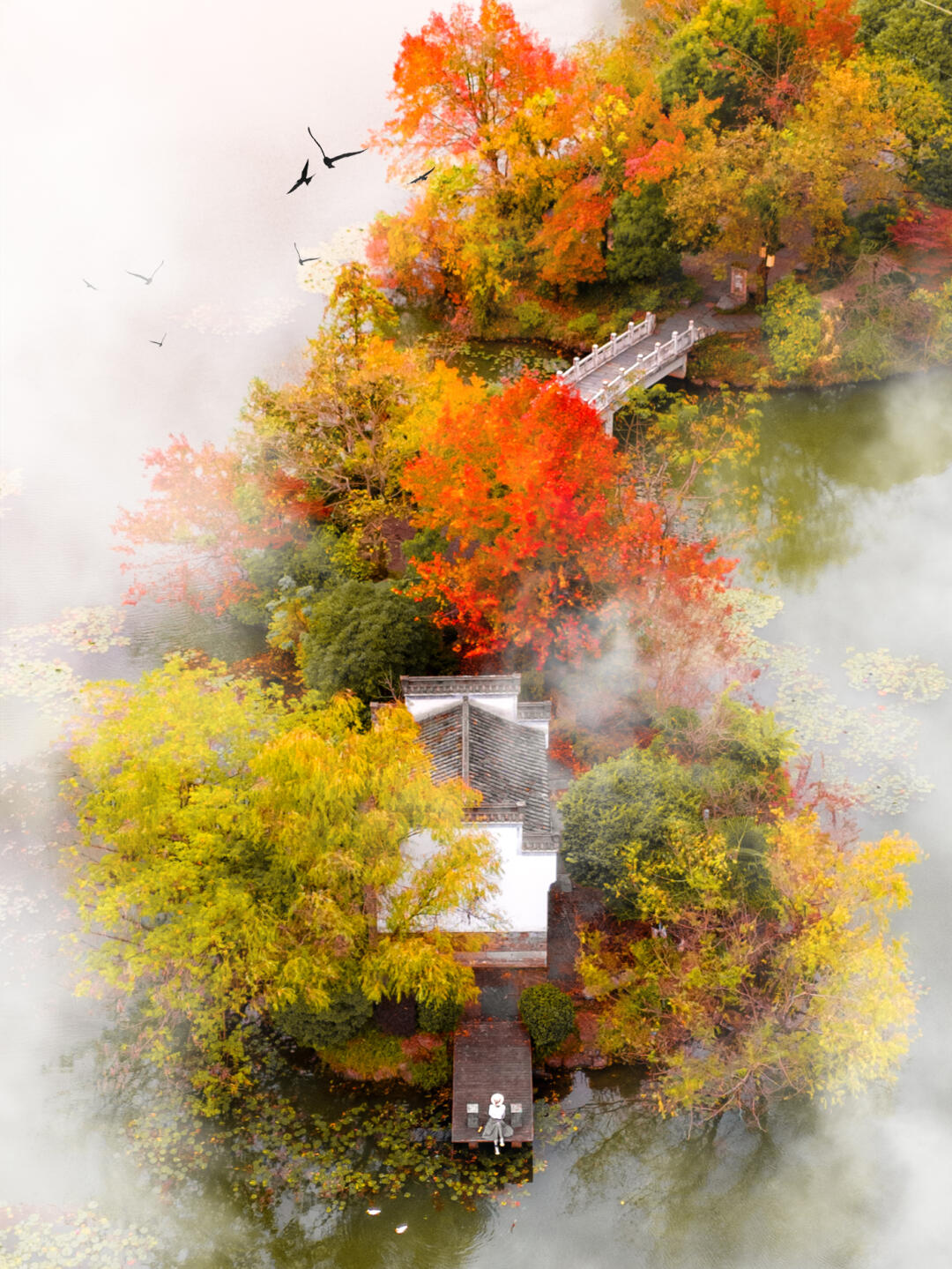 时梧桐 芙唯美古风景色江南山中秋色秋冬温馨图片古风远村秋色如画